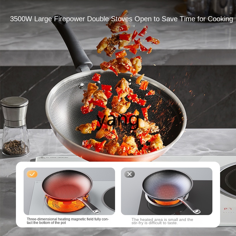 LMM Double Burner Embedded Hou - Induction Cooker 评论和价格
